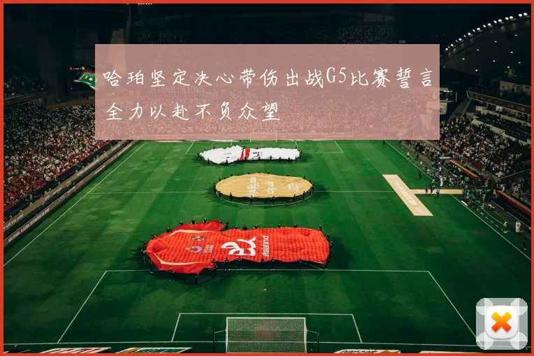 哈珀坚定决心带伤出战G5比赛誓言全力以赴不负众望
