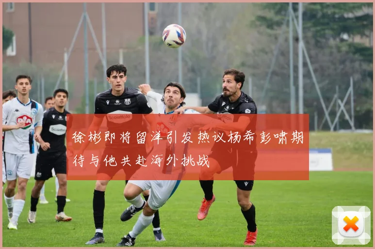 徐彬即将留洋引发热议杨希彭啸期待与他共赴海外挑战