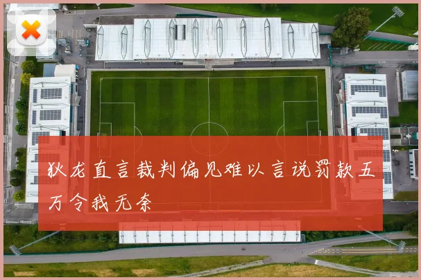 狄龙直言裁判偏见难以言说罚款五万令我无奈